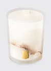 Trudon 9.5 Oz. The Alabaster Atria Candle