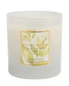 Hampton Sun 7.5 Oz. Privet Bloom Scented Candle In Colorless
