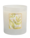 Hampton Sun 7.5 Oz. Privet Bloom Scented Candle