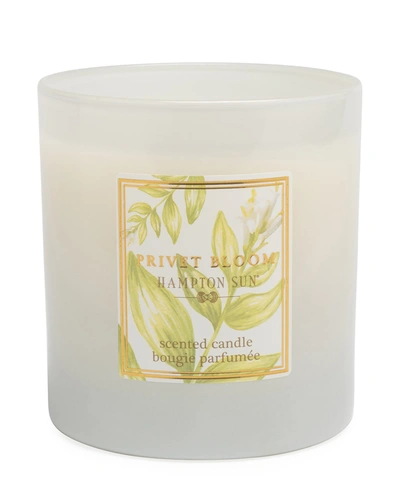 Hampton Sun 7.5 Oz. Privet Bloom Scented Candle In Colourless