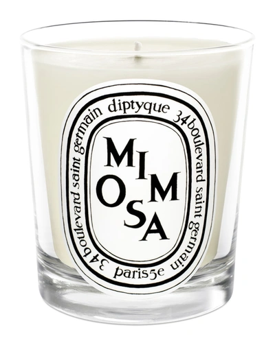 Diptyque Mimosa Scented Candle, 6.5 Oz. In Colorless