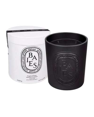 Diptyque Baies Candle Indoor And Outdoor Edition In Multi