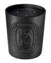DIPTYQUE BAIES (BERRIES) SCENTED CANDLE, 21.2 OZ.