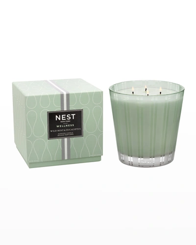 Nest New York Nest Fragrances Wild Mint & Eucalyptus Luxury 4 Wick Candle In Green