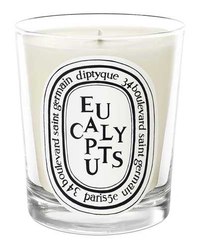 DIPTYQUE EUCALYPTUS SCENTED CANDLE, 6.5 OZ.