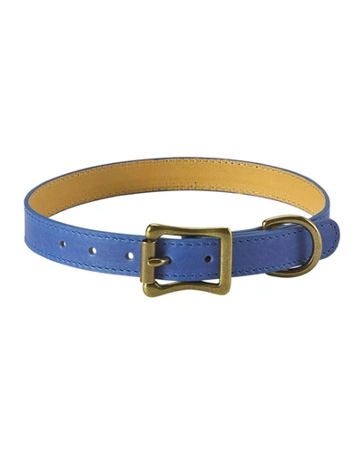 Graphic Image Personalized Medium Dog Collar In Blue