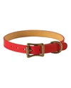 Graphic Image Personalized Medium Dog Collar In Red
