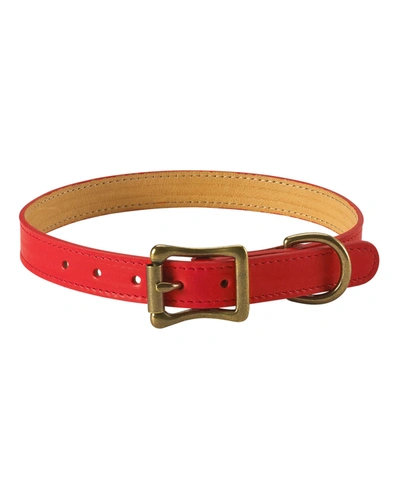 Graphic Image Personalized Medium Dog Collar In Red