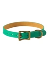 Graphic Image Personalized Medium Dog Collar In Green