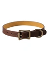 Graphic Image Personalized Medium Dog Collar In Brown