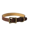 Graphic Image Personalized Small Dog Collar In Brown