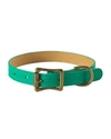 Graphic Image Personalized Small Dog Collar In Green