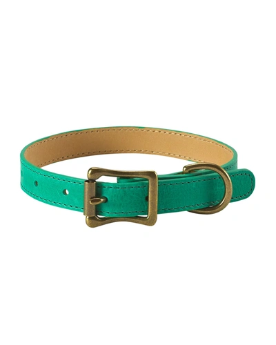 Graphic Image Personalized Small Dog Collar In Green