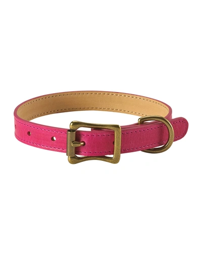 Graphic Image Personalized Small Dog Collar In Pink