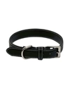 Royce New York Small Luxe Dog Collar