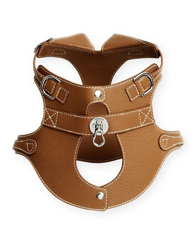 Pagerie The Colombo Dog Harness In Saddle