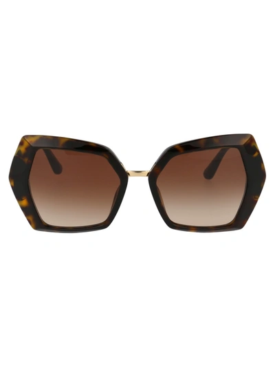 Dolce & Gabbana Dolce &amp; Gabbana Dg4377 Havana Sunglasses In Brown