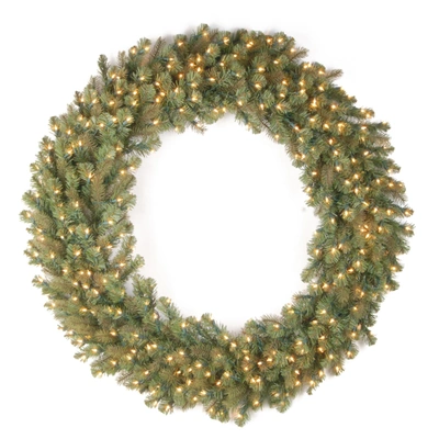 National Tree Company 48" "feel-real" Downswept Douglas Fir Wreath With 200 Warm White Led Lights In Green