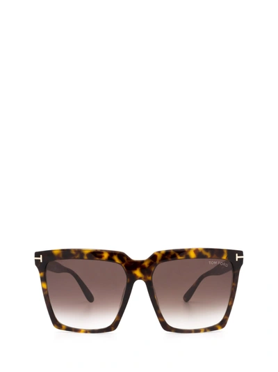 Tom Ford Ft0764 Dark Havana Female Sunglasses