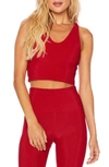 Beach Riot Ruby Glitter Tank In Red