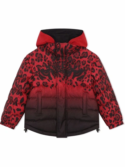 Dolce & Gabbana Kids' Reversible Leopard-print Padded Coat In Black