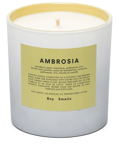 Boy Smells Ambrosia Scented Candle (240g) In Grey