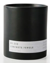 AERANGIS 8 OZ. NO.212 CONCRETE JUNGLE CANDLE