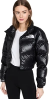 The North Face Logo-print Cropped Feather-down Puffer Jacket In Black