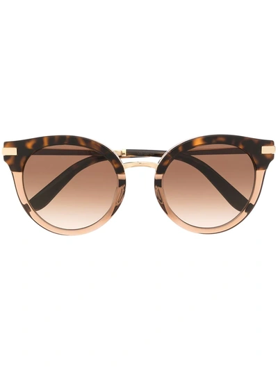 Dolce & Gabbana Tortoiseshell Cat Eye Sunglasses In Brown