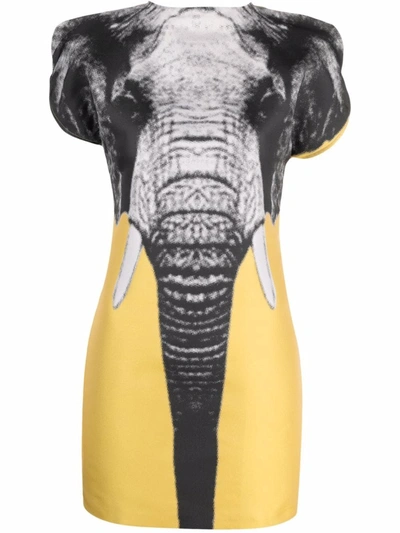 Pre-owned Jc De Castelbajac 2000s Elephant-print Mini Dress In Yellow