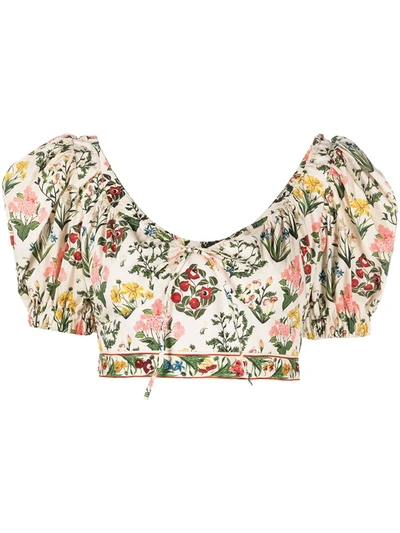 Agua By Agua Bendita Palmarosa Cropped Floral-print Organic Cotton-poplin Top In Multi