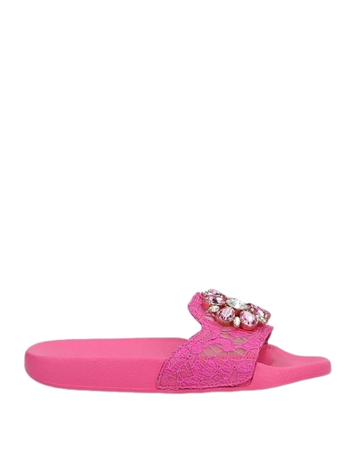 Dolce & Gabbana Sandals In Pink