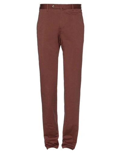 Pt Torino Man Pants Chocolate Brown Size 38 Cotton, Silk, Elastane