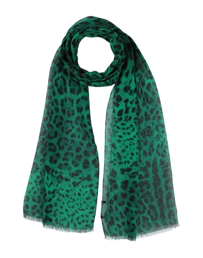 Dolce & Gabbana Scarves In Green