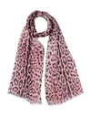 Dolce & Gabbana Scarves In Pink