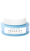 Herbivore Botanicals Aquarius Pore Purifying Clarity Cream In Beauty: Na