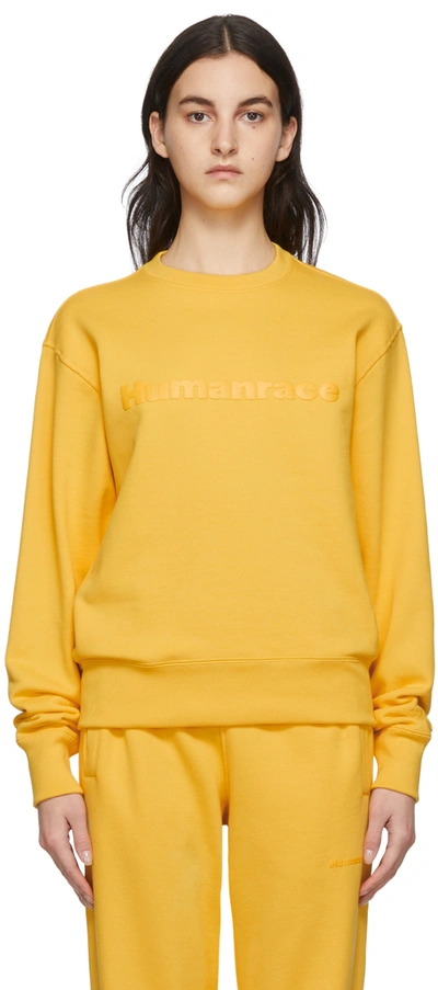 Adidas X Humanrace By Pharrell Williams Ssense Exclusive Humanrace Tonal Logo Sweatshirt In Bold Gold