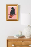 Artfully Walls Red-tailed Black Cockatoo Wall Art In Pink