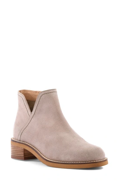 Seychelles Backstage Suede Boot In Brown