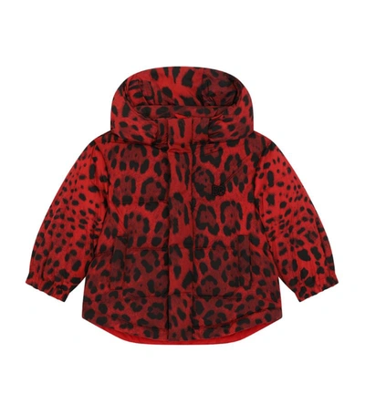 Dolce & Gabbana Babies' Kids Leopard Print Down Jacket (3-30 Months) In Multicolor