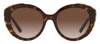Prada Pr 01ys Acetate Square Sunglasses In Brown
