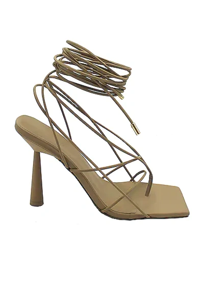 Gia Borghini Gia X Rhw Rosie 6 Leather Lace-up Sandals In Brown
