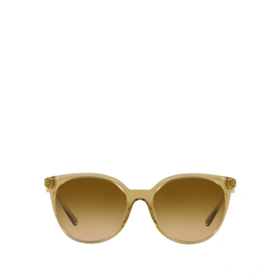 Versace Ve4404 Transparent Honey Male Sunglasses In .