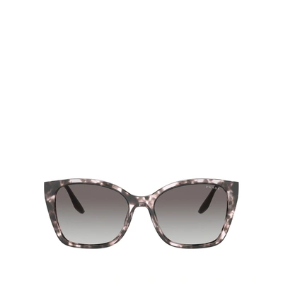 Prada Pr 12xs Orchid Tortoise Female Sunglasses In Grey