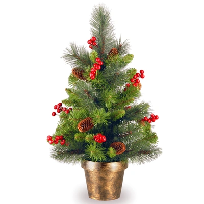 National Tree Company 2' Crestwood Spruce Small Tree With Silver Bristle, Cones, Red Berries And Glitter In A Plastic Bron In Green