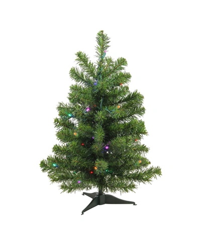 Northlight 2' Pre-lit Led Canadian Pine Artificial Christmas Tree In Green