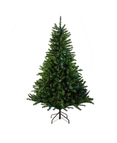 Northlight 5' Pre-lit Canadian Pine Artificial Christmas Tree In Green