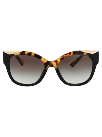 Prada Eyewear Cat In Multi