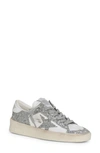Golden Goose Stardan Low Top Sneaker In White/ Silver