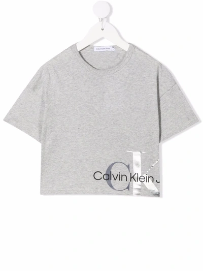 Calvin Klein Kids' Gray T-shirt For Girl With Silver And Black Logo In Grey